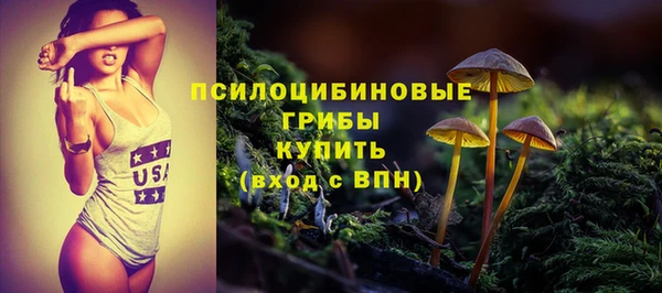 винт Арсеньев