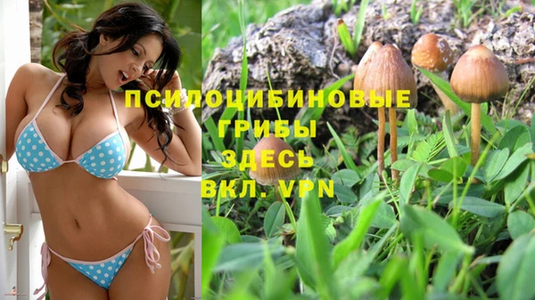 винт Арсеньев